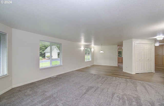 carpeted empty room featuring wood finished floors, baseboards, and a textured ceiling