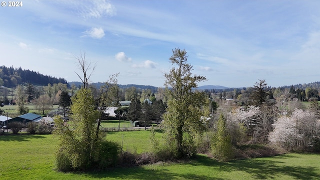 view of mountain view