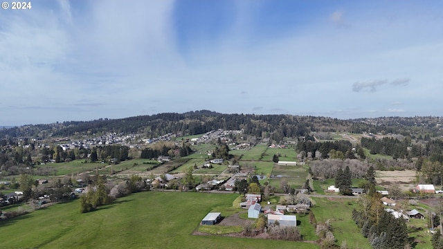 view of bird's eye view