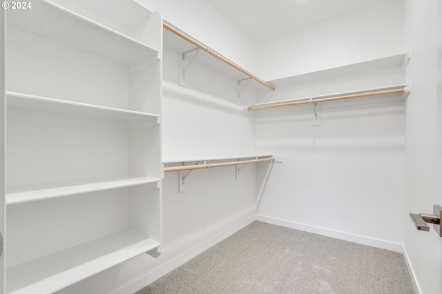 spacious closet with light colored carpet