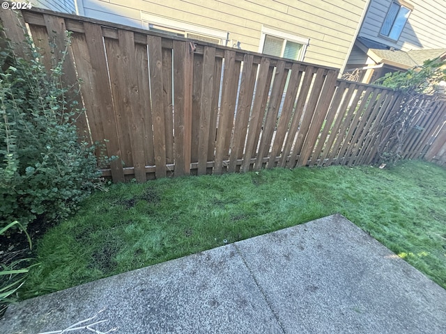 view of yard featuring a patio