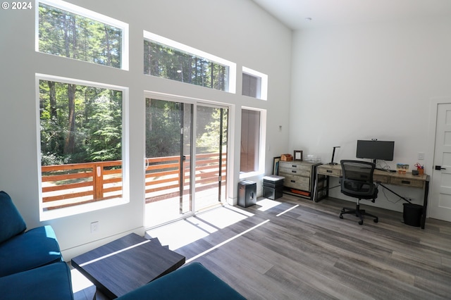 office space featuring a high ceiling and plenty of natural light