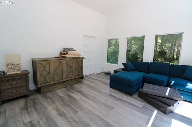 living room with light hardwood / wood-style floors and a high ceiling