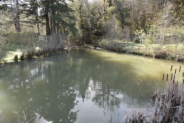 water view with a wooded view
