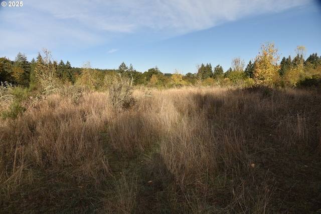 view of local wilderness
