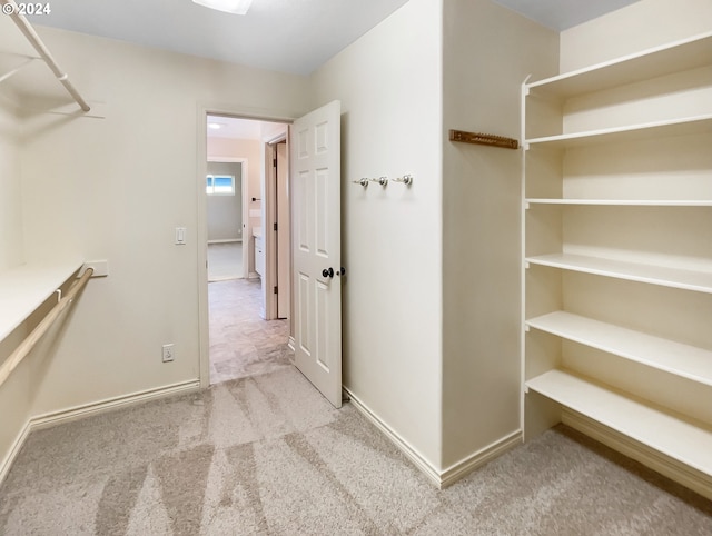 walk in closet with light carpet