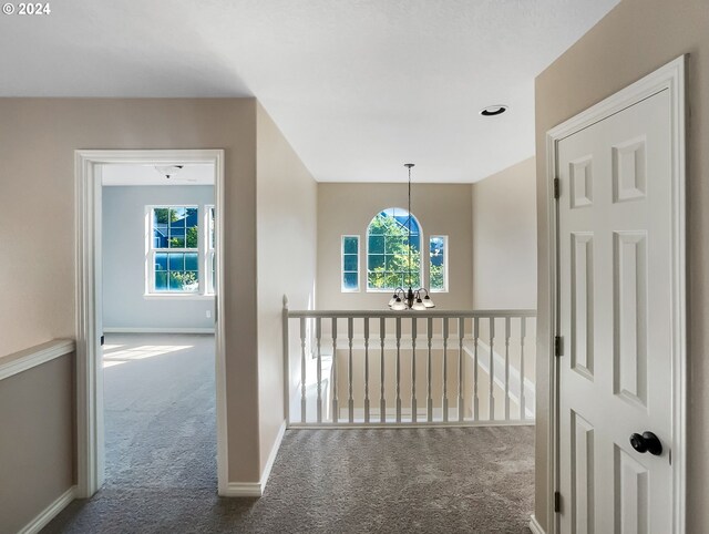 hall featuring a healthy amount of sunlight and carpet