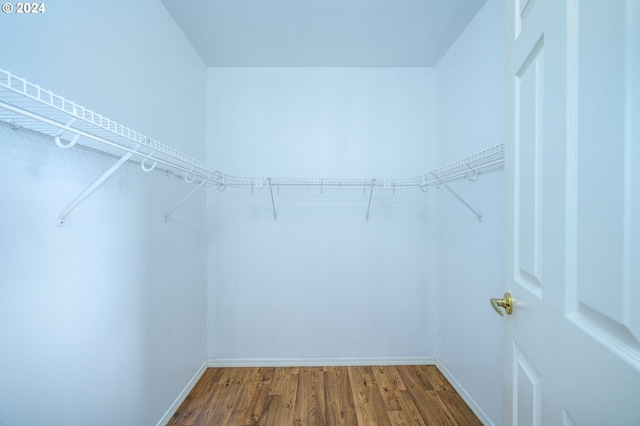 walk in closet featuring hardwood / wood-style flooring