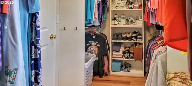 walk in closet featuring wood finished floors