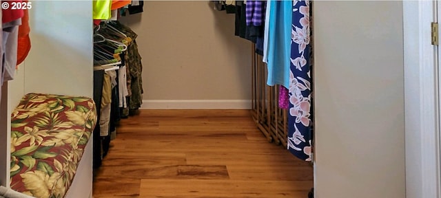 walk in closet featuring wood finished floors