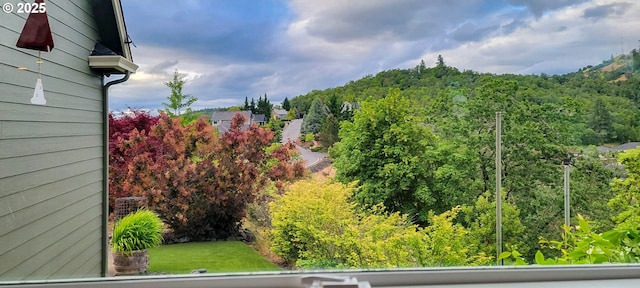 view of yard with a forest view