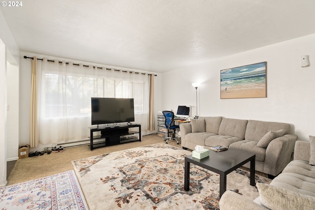 carpeted living room with a textured ceiling