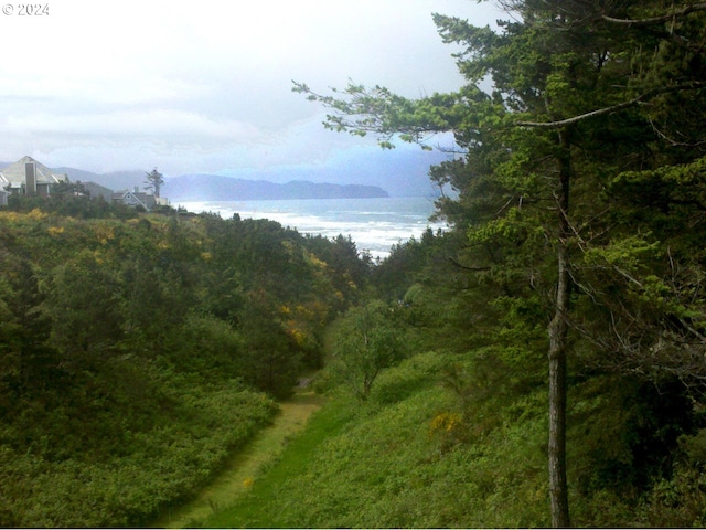 view of landscape featuring a water and mountain view