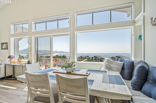 dining room featuring a high ceiling, a mountain view, and light wood-type flooring