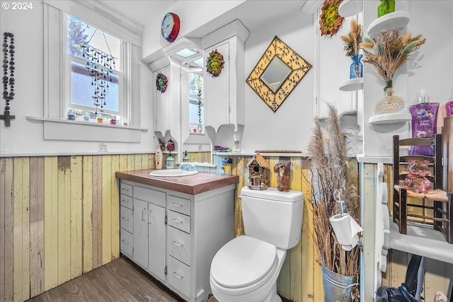 bathroom featuring oversized vanity, toilet, and wood-type flooring