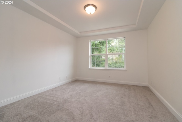 unfurnished room with a tray ceiling and carpet