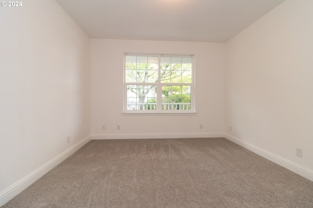 spare room featuring carpet floors