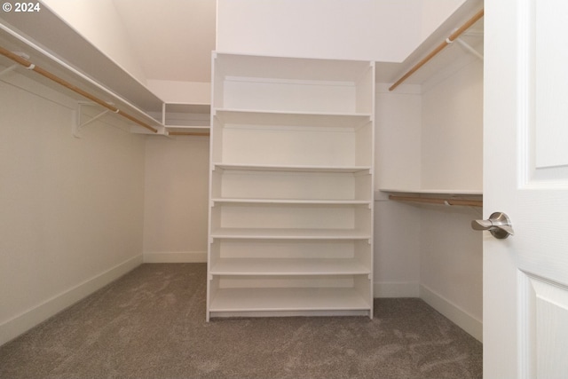 9 Waterford Downs, Florence, OR 97439 - walk in closet featuring carpet flooring