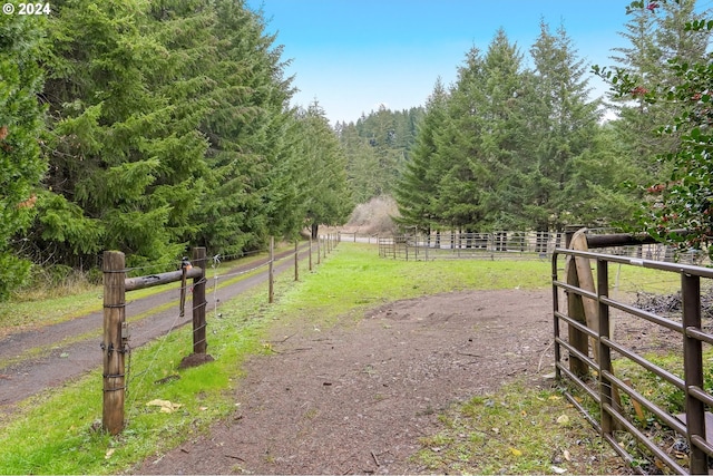 view of road with a rural view