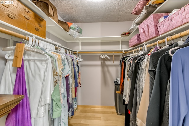 spacious closet with hardwood / wood-style flooring