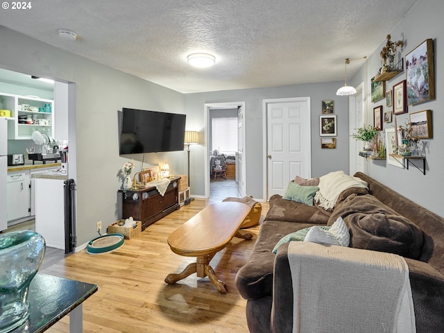 living room featuring light hardwood / wood-style floors and a textured ceiling