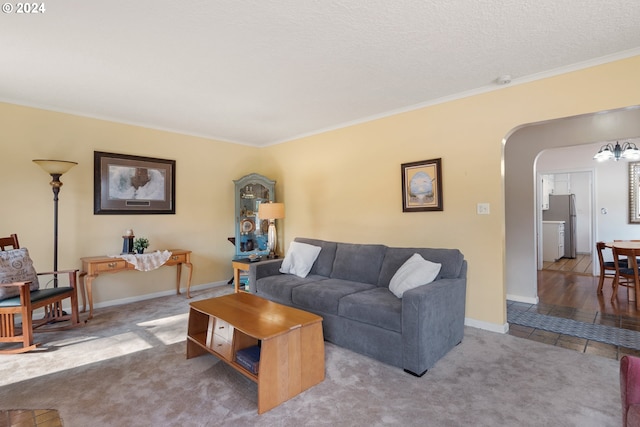 carpeted living room featuring crown molding and a textured ceiling