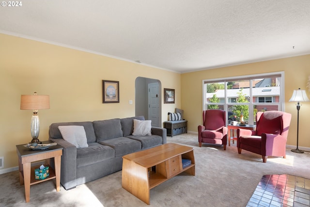 carpeted living room featuring crown molding and a textured ceiling