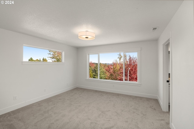 unfurnished room featuring a textured ceiling and light colored carpet