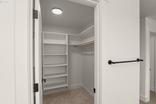 walk in closet with light colored carpet