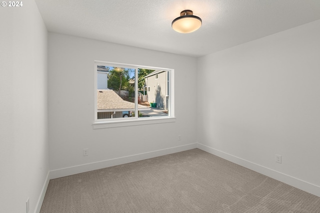 empty room featuring carpet floors