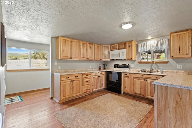 17943 Old Auburn Ln, Baker City, OR 97814 - kitchen with range with electric stovetop, white microwave, light countertops, light wood-style flooring, and a textured ceiling
