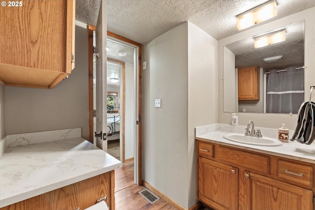 17943 Old Auburn Ln, Baker City, OR 97814 - bathroom featuring vanity, a textured ceiling, wood finished floors, and baseboards
