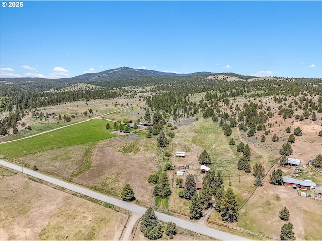 17943 Old Auburn Ln, Baker City, OR 97814 - bird's eye view of mountains and a forest