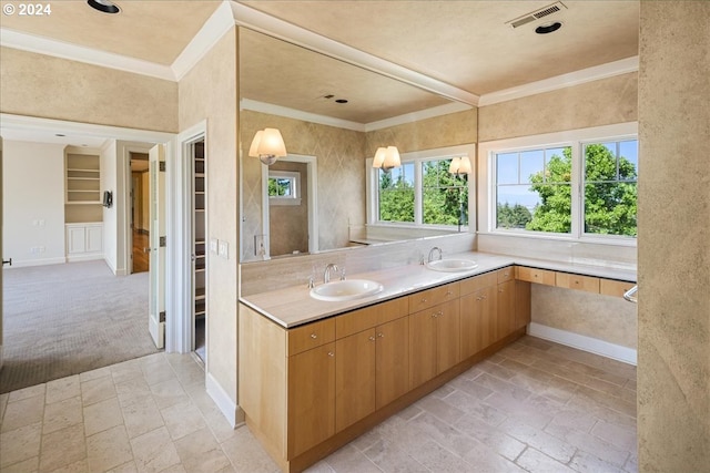 bathroom featuring crown molding and vanity