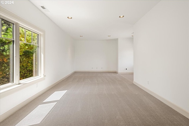 carpeted spare room featuring a wealth of natural light