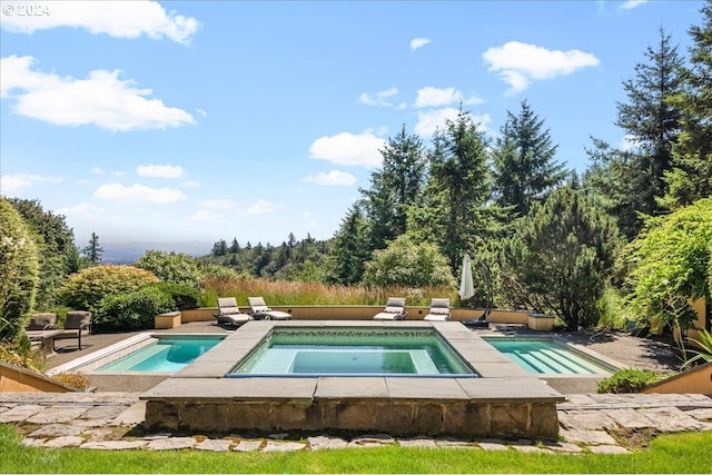 view of swimming pool with an in ground hot tub