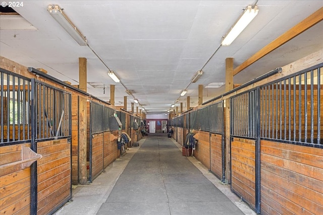 view of stable