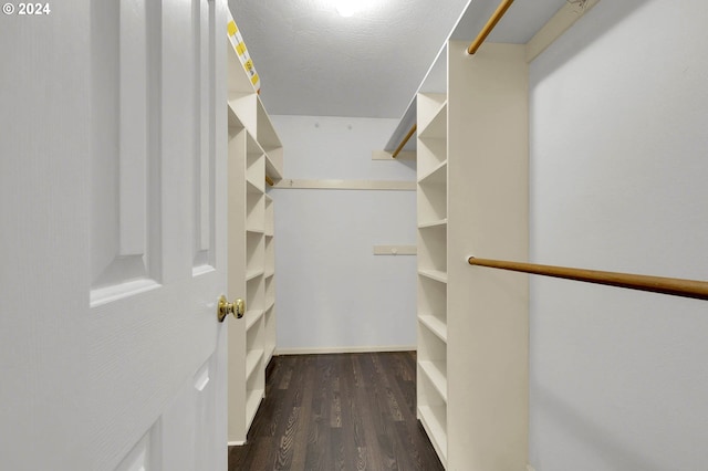 spacious closet featuring dark hardwood / wood-style floors