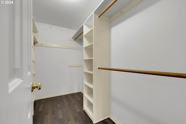 walk in closet featuring dark hardwood / wood-style flooring