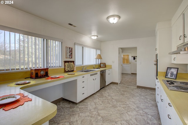 kitchen with exhaust hood, sink, white cabinets, and stainless steel appliances