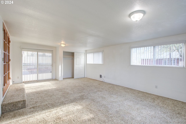 spare room with plenty of natural light, carpet floors, and a textured ceiling