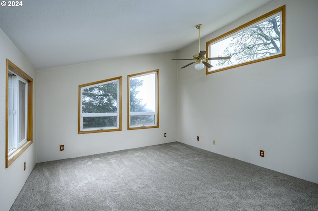 empty room with carpet flooring, ceiling fan, a healthy amount of sunlight, and vaulted ceiling