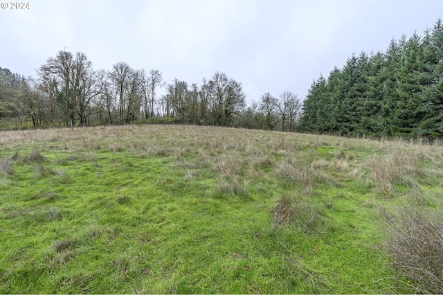 view of landscape featuring a rural view