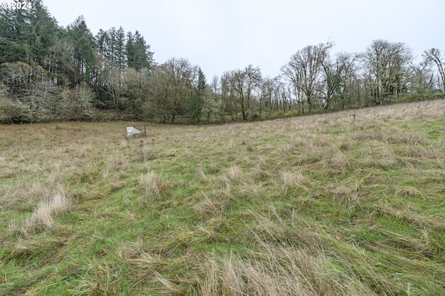 view of landscape featuring a rural view