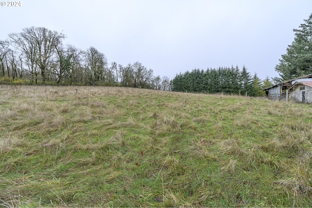 view of yard with a rural view