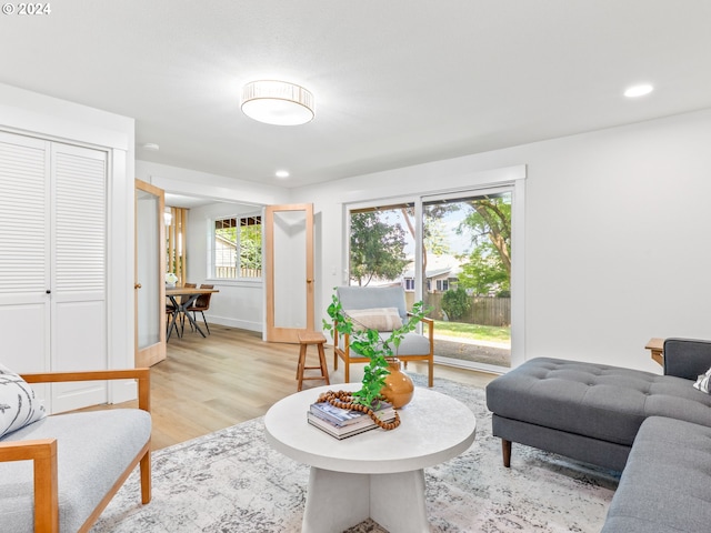 living room with light hardwood / wood-style floors