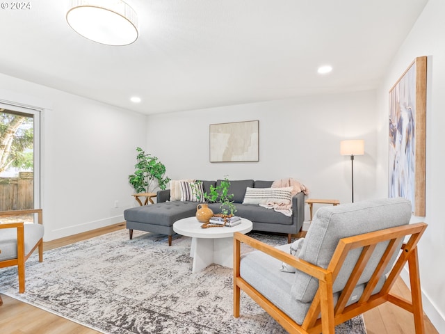 living room featuring wood-type flooring