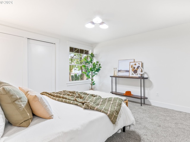 bedroom with carpet flooring and a closet