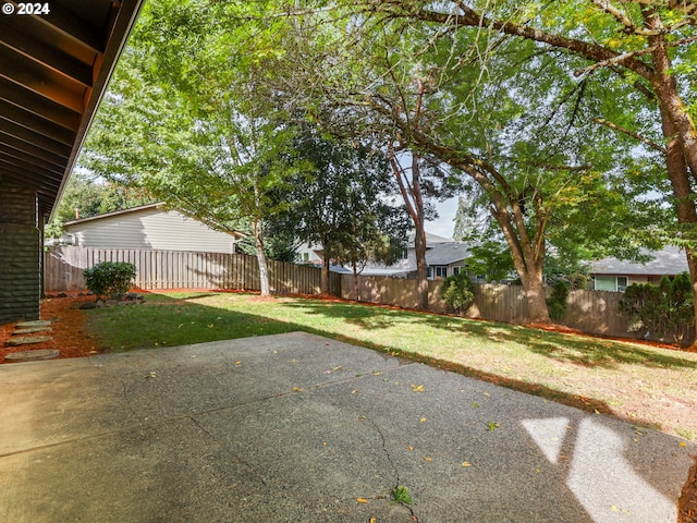 view of yard featuring a patio