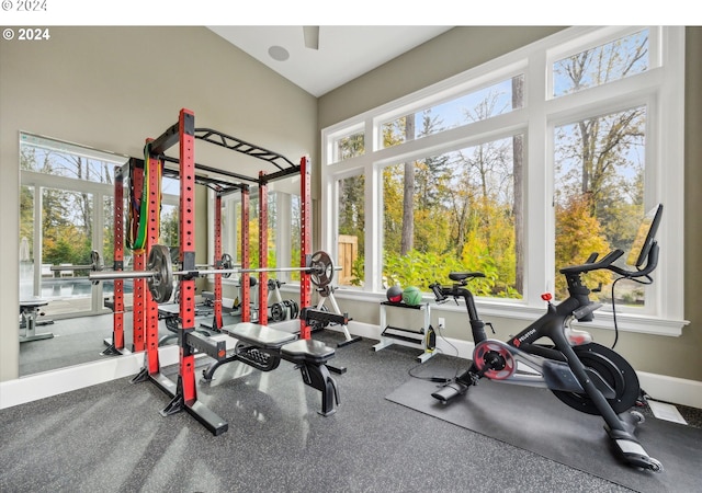 workout area featuring baseboards and a healthy amount of sunlight